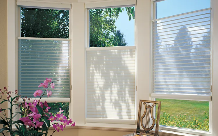 sonoma curtains